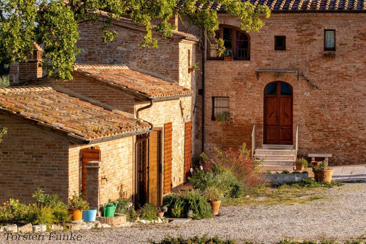Agriturismo Mocine Asciano Ngoại thất bức ảnh