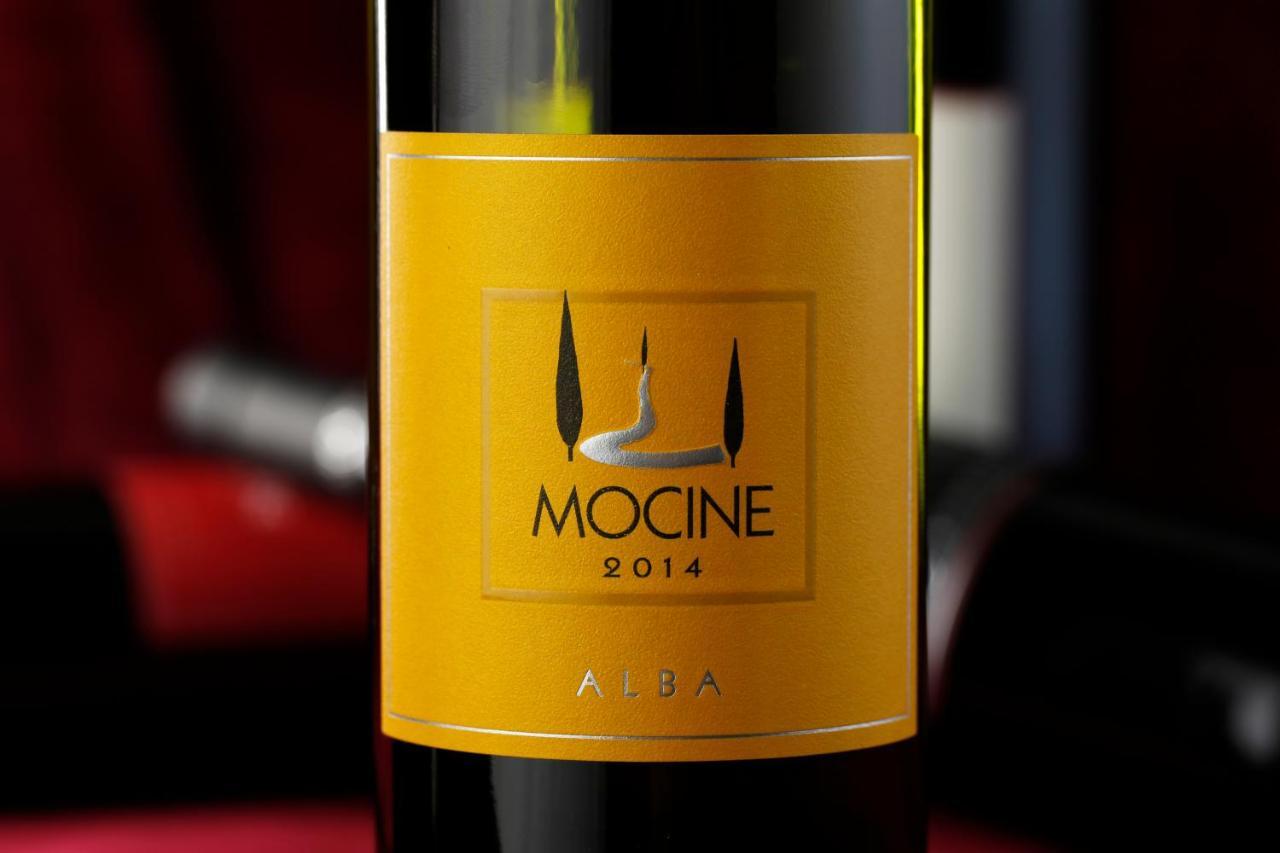 Agriturismo Mocine Asciano Ngoại thất bức ảnh