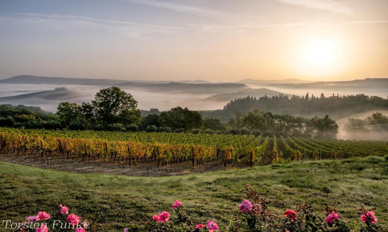 Agriturismo Mocine Asciano Ngoại thất bức ảnh