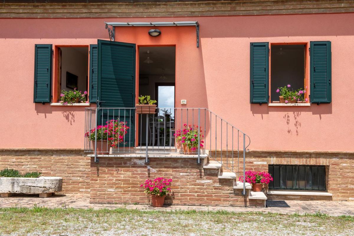 Agriturismo Mocine Asciano Ngoại thất bức ảnh