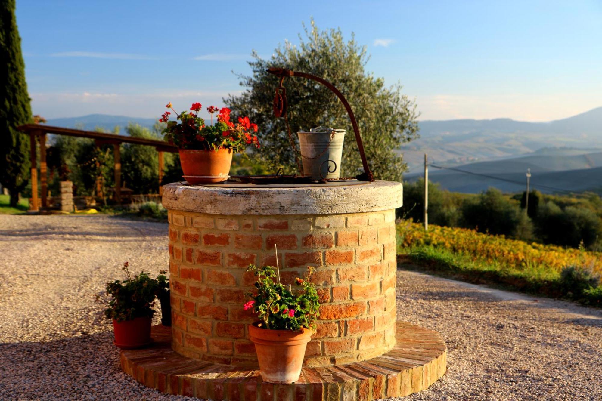 Agriturismo Mocine Asciano Ngoại thất bức ảnh