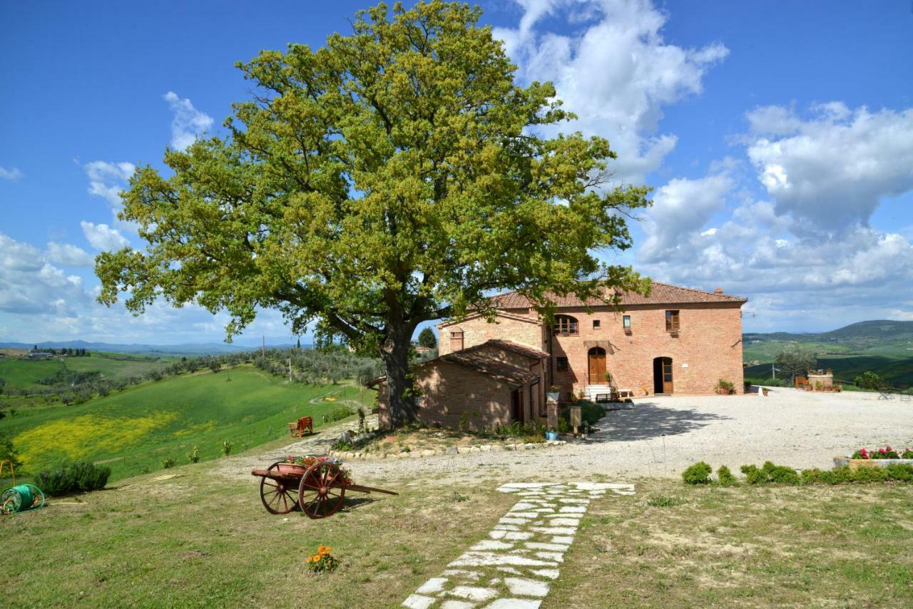 Agriturismo Mocine Asciano Ngoại thất bức ảnh