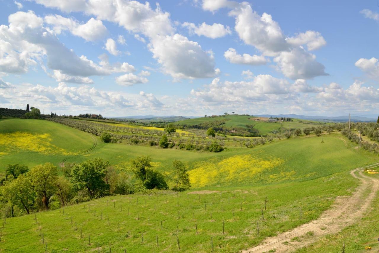 Agriturismo Mocine Asciano Ngoại thất bức ảnh