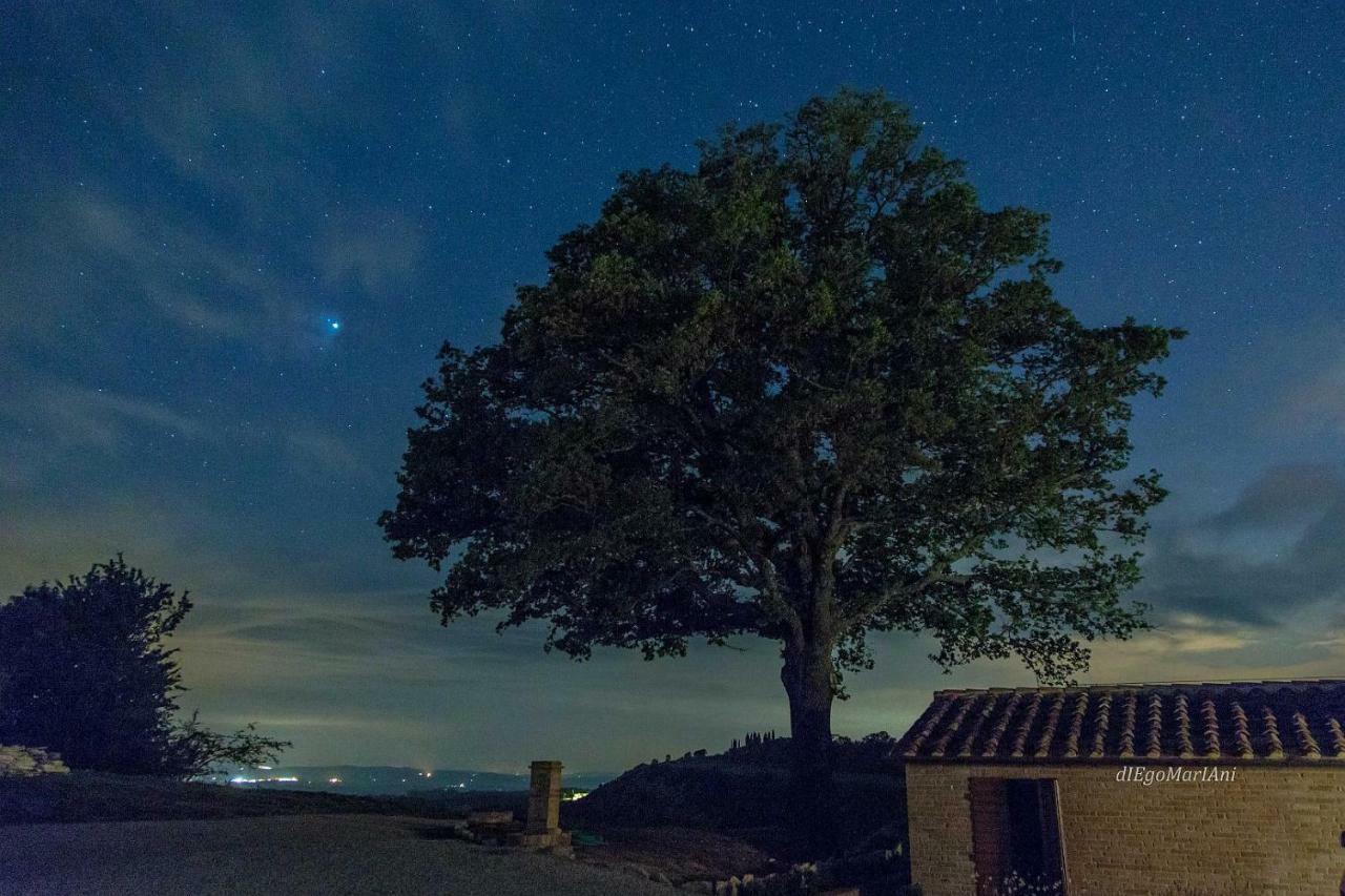 Agriturismo Mocine Asciano Ngoại thất bức ảnh