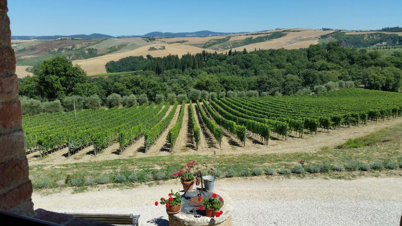 Agriturismo Mocine Asciano Ngoại thất bức ảnh